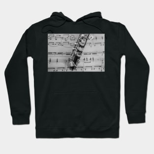 Traditional flute instrument on sheet music Hoodie